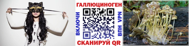 Галлюциногенные грибы MAGIC MUSHROOMS Курчалой