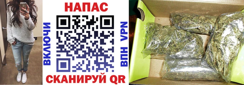 Бошки Шишки планчик Курчалой